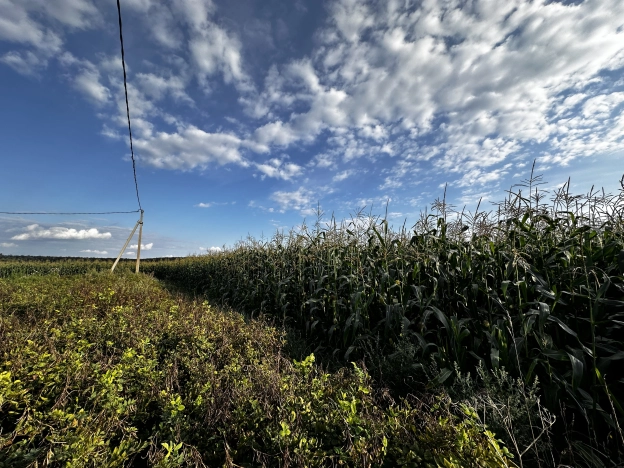 Купить земельный участок в Коломне. Вариант № 2171947, 7, площадь -  квм, цена 1099000 рублей
