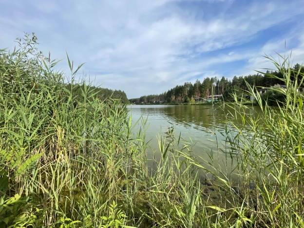 Купить дом в Воронеже. Вариант № 560041, 29, площадь -  квм, цена 16900000 рублей