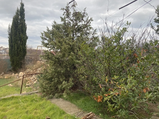 Купить земельный участок в Республике Крым. Вариант № 20556, 10, площадь -  квм, цена 5000000 рублей