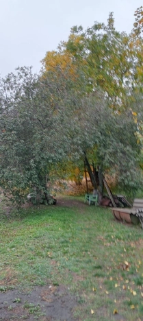 Купить дом в Белгороде. Вариант № 7690311, 21, площадь -  квм, цена 3500000 рублей