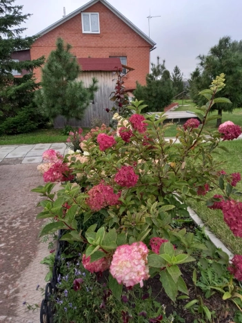 Купить дом в Омске. Вариант № 42670, 9, площадь -  квм, цена 13999999 рублей