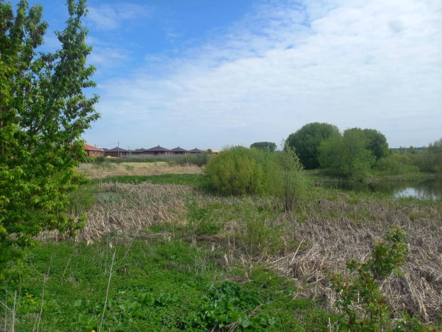 Купить земельный участок в Пензе. Вариант № 25484, 5, площадь -  квм, цена 1300000 рублей