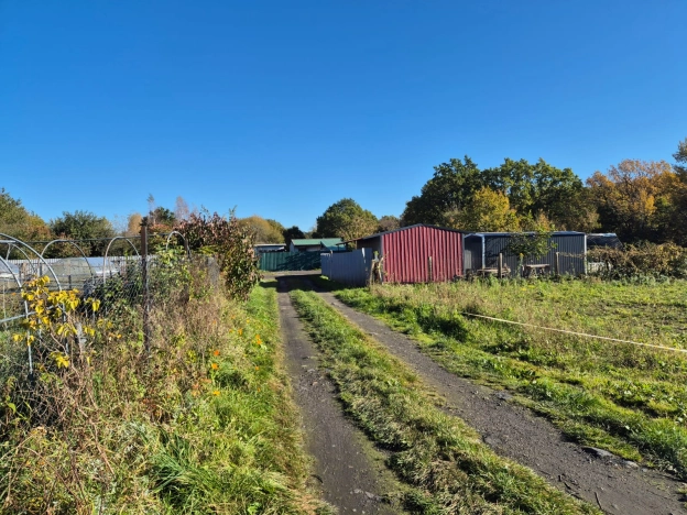 Купить земельный участок в Калининграде. Вариант № 8056096, 9, площадь -  квм, цена 1325000 рублей