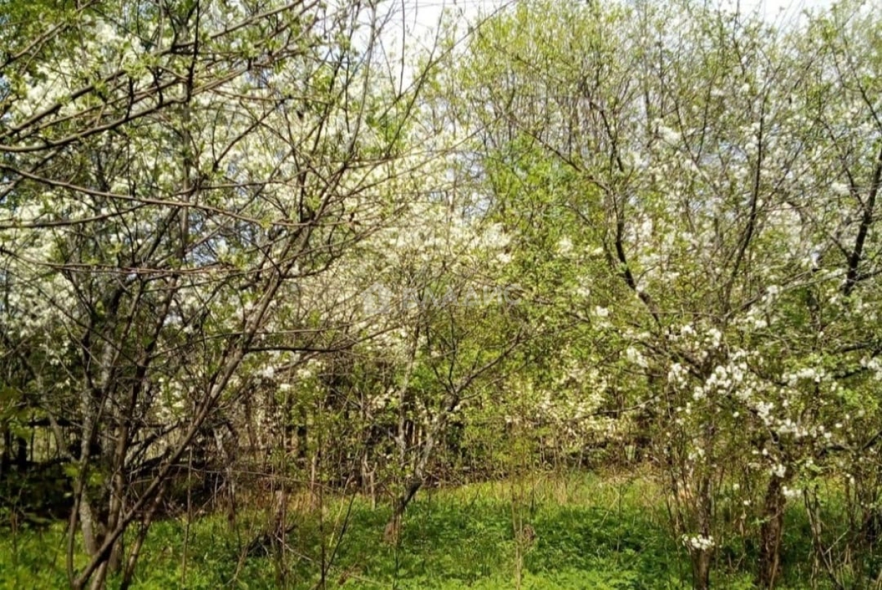Photo https://36000382-a1c2-4a8a-a109-3fc3bfc73cf7.selcdn.net/App/Entity/ObjectRealty/ObjectRealty/GJ/4bb3f1e6-1a18-4c3e-9f43-ba0ad7502172/ycjK82lJ1xxZXQ3uftuqHojyNrPwxopQXf66S7vc.jpg.compressed.webp