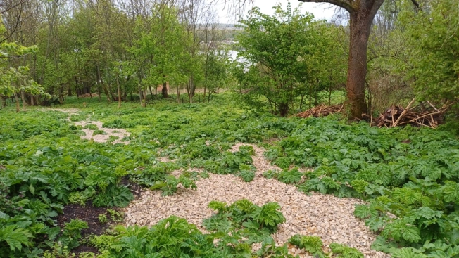 Купить земельный участок в Туле. Вариант № 21295, 13, площадь -  квм, цена 3200000 рублей