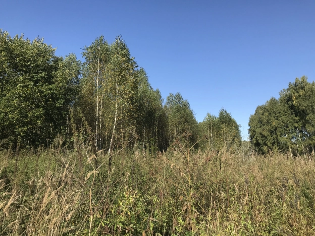 Купить земельный участок в Владимире. Вариант № 8537151, 3, площадь -  квм, цена 1800000 рублей