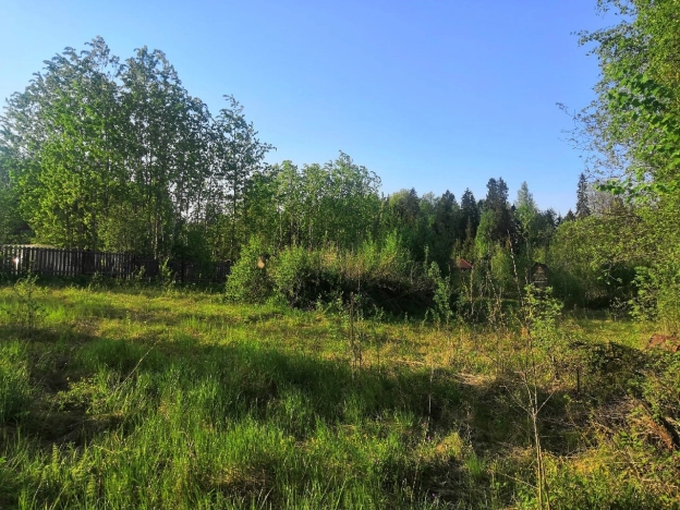 Купить земельный участок на улице Полевая в Вологодской области. Вариант № 1630, 3, площадь -  квм, цена 200000 рублей