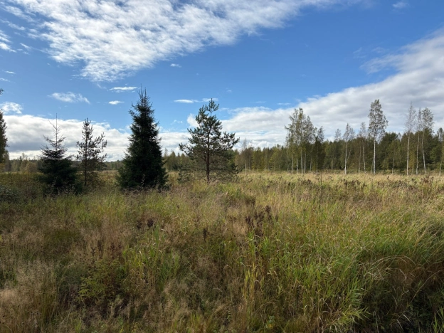 Купить земельный участок в Санкт-Петербурге. Вариант № 9690706, 0, площадь - квм, цена 900000 рублей