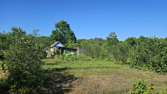 Купить земельный участок в Арсеньеве. Вариант № 59815, 16, площадь -  квм, цена 1050000 рублей