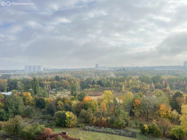 Купить однокомнатную квартиру в Воронеже. Вариант № 8336255, 12, площадь - квм, цена 4900000 рублей