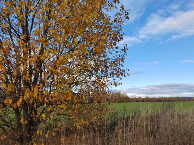 Купить дом на улице Пушкина в Владимире. Вариант № 6921782, 21, площадь -  квм, цена 2000000 рублей