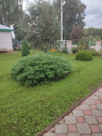 Купить дом в Республике Марий эл. Вариант № 5464304, 14, площадь -  квм, цена 3000000 рублей