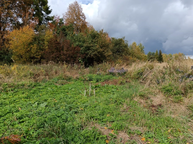 Купить дом в Гороховеце. Вариант № 5752492, 7, площадь -  квм, цена 247000 рублей