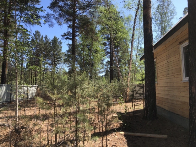 . Вариант № 26583, 11, площадь - 125.5 квм, цена 7200000 рублей