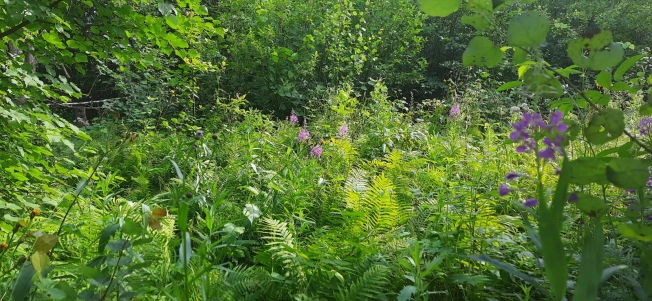 Купить земельный участок на улице Гумбольдта в Тобольске. Вариант № 10653, 9, площадь -  квм, цена 1100000 рублей