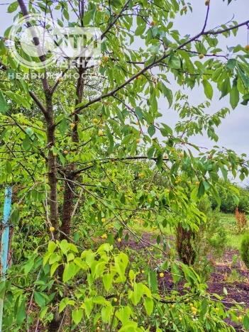 Купить дачу в Воронеже. Вариант № 31197, 17, площадь - квм, цена 1300000 рублей