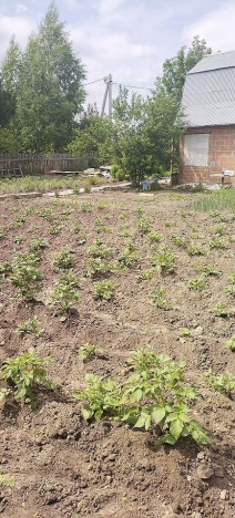 Купить дачу в Тюменской области. Вариант № 58391, 21, площадь -  квм, цена 1600000 рублей