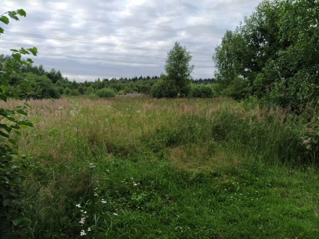 Купить земельный участок в Тульской области. Вариант № 3992, 3, площадь -  квм, цена 350000 рублей