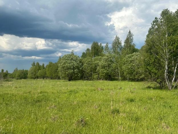 Купить земельный участок в Тульской области. Вариант № 8312, 2, площадь -  квм, цена 2100000 рублей