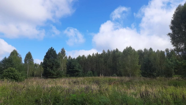 Купить земельный участок в Владимире. Вариант № 3155308, 6, площадь -  квм, цена 680000 рублей