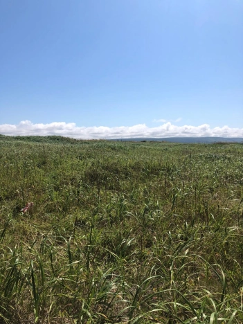 Купить земельный участок на улице Песчаная в Сахалинской области. Вариант № 3560, 0, площадь - квм, цена 3500000 рублей