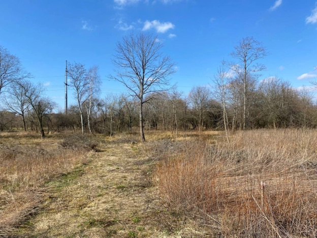 Купить земельный участок в Калининградской области. Вариант № 32240, 14, площадь -  квм, цена 2700000 рублей