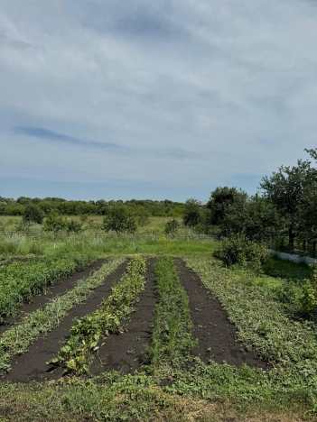 Купить дом в Воронеже. Вариант № 48242, 6, площадь -  квм, цена 1290000 рублей