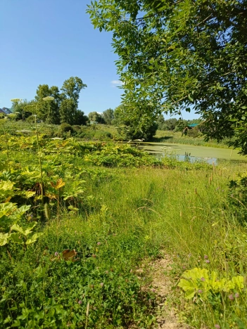 Купить земельный участок в Владимире. Вариант № 1643238, 3, площадь -  квм, цена 1870000 рублей