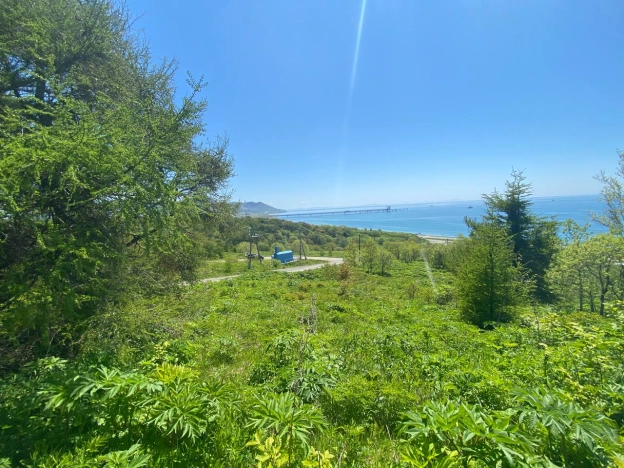 Купить земельный участок в Южно-Сахалинске. Вариант № 8576, 4, площадь -  квм, цена 2150000 рублей