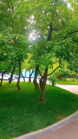 Купить квартиру в Москве. Вариант № 9067849, 12, площадь -  квм, цена 15800000 рублей