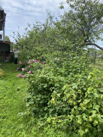 Купить двухкомнатную квартиру на улице Шатурская в Калининградской области. Вариант № 5278267, 10, площадь -  квм, цена 4500000 рублей