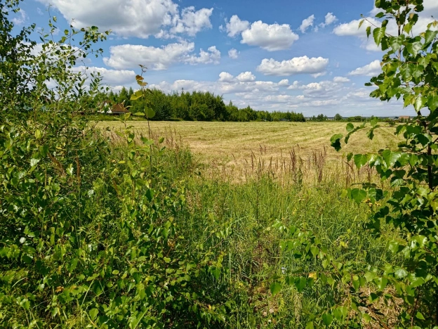 Купить земельный участок в Коломне. Вариант № 18463, 2, площадь -  квм, цена 811800 рублей