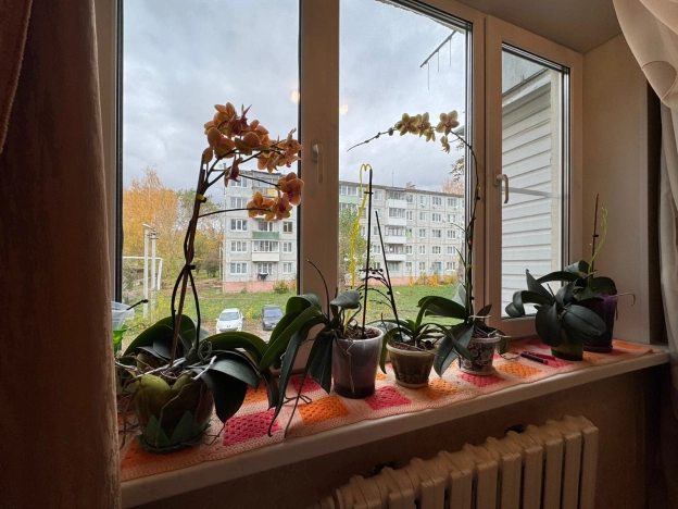 Купить квартиру в Тульской области. Вариант № 7661766, 19, площадь -  квм, цена 2500000 рублей