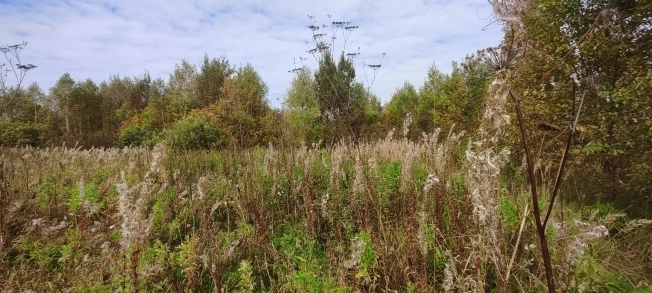 Купить земельный участок на улице Гумбольдта в Тобольске. Вариант № 13015, 4, площадь -  квм, цена 2000000 рублей