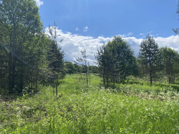 Купить земельный участок в Вологодской области. Вариант № 8738, 16, площадь -  квм, цена 420000 рублей