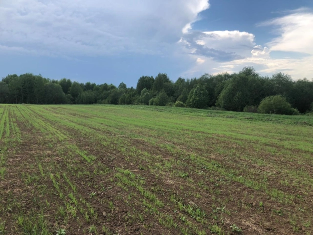 Купить земельный участок на улице Белые Ночи в Вологодской области. Вариант № 6192, 6, площадь -  квм, цена 550000 рублей