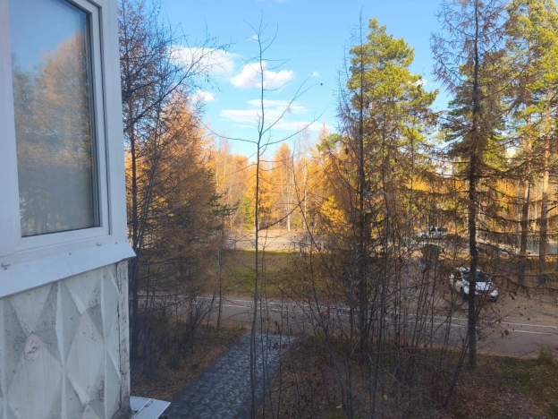 Купить однокомнатную квартиру на улице Василенко в Амурской области. Вариант № 9920027, 32, площадь -  квм, цена 6490000 рублей