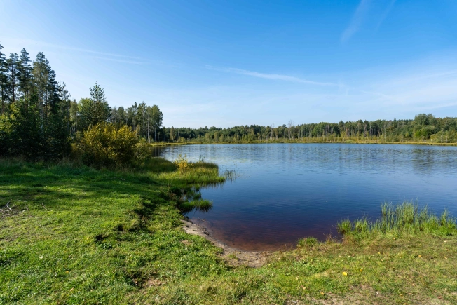 Купить земельный участок в Санкт-Петербурге. Вариант № 9600311, 4, площадь - квм, цена 2941918 рублей