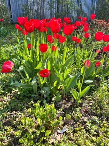 Купить дом на улице Веерная в Тульской области. Вариант № 1060741, 6, площадь -  квм, цена 1850000 рублей