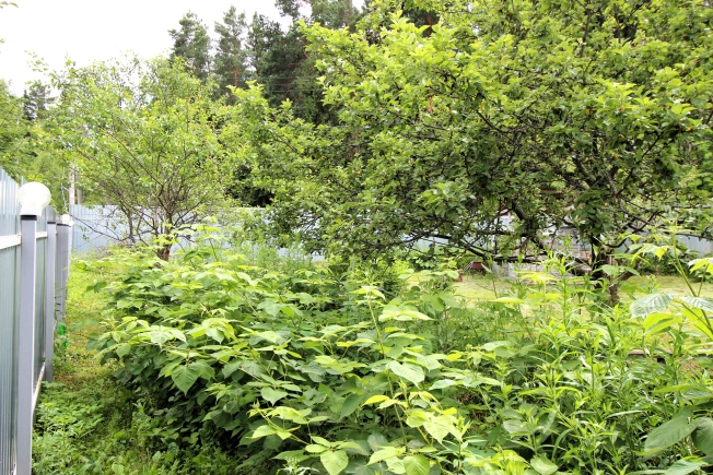 Купить земельный участок в Тульской области. Вариант № 12148, 3, площадь -  квм, цена 1599990 рублей