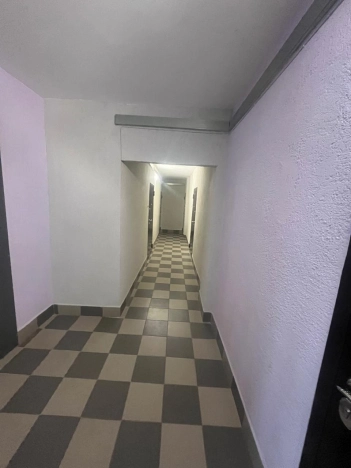 Купить Студию в Алтайском крае. Вариант № 10262265, 13, площадь -  квм, цена 3240000 рублей