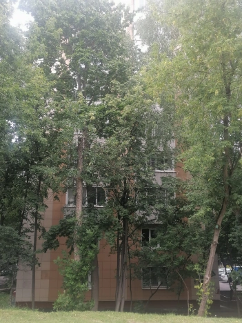 Купить квартиру в Москве. Вариант № 602199, 9, площадь - квм, цена 14200000.0000 рублей