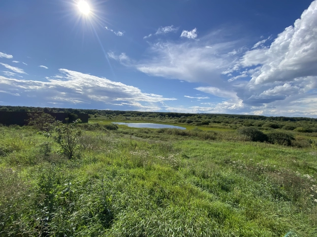 Купить земельный участок в Воронеже. Вариант № 2608596, 10, площадь - квм, цена 3500000 рублей