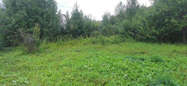 Купить земельный участок на улице Гумбольдта в Тобольске. Вариант № 10653, 8, площадь -  квм, цена 1100000 рублей