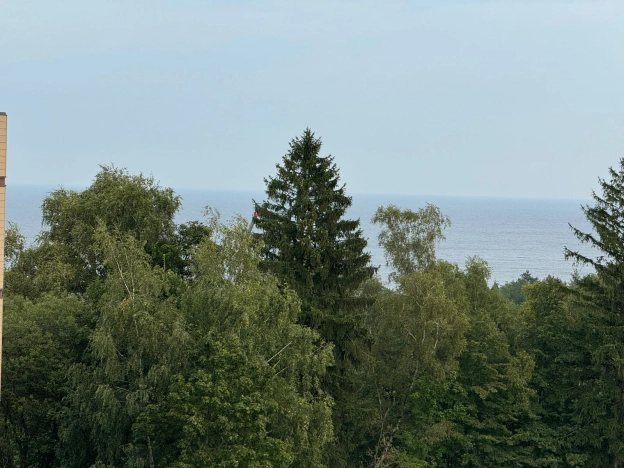 Купить Студию в Калининградской области. Вариант № 3652797, 44, площадь -  квм, цена 33500000 рублей