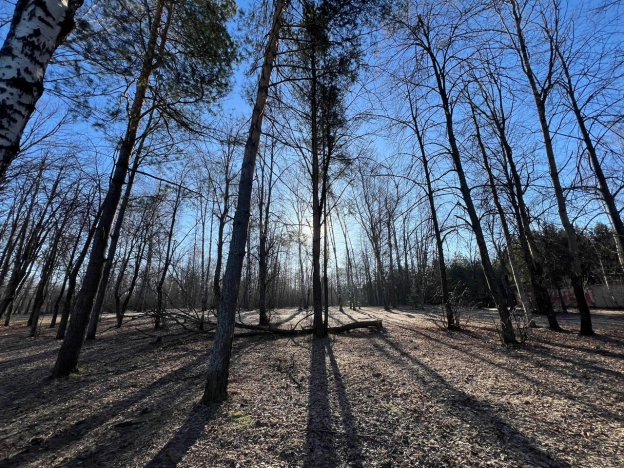 Купить земельный участок в Покрове. Вариант № 28968, 16, площадь -  квм, цена 21500000 рублей