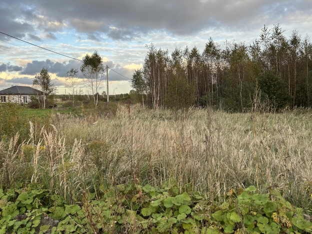 Купить земельный участок в Калининграде. Вариант № 7496964, 5, площадь -  квм, цена 480000 рублей