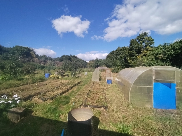 Купить дом в Гороховеце. Вариант № 3796511, 22, площадь -  квм, цена 1650000 рублей