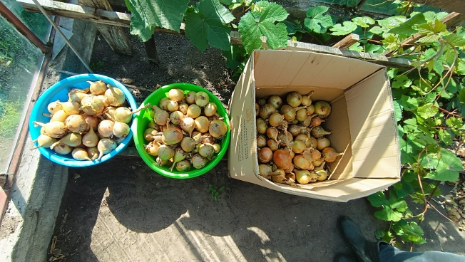 Купить дом в Микрорайоне Восточный, Тобольск в Тобольске. Вариант № 22430, 30, площадь -  квм, цена 15000000 рублей