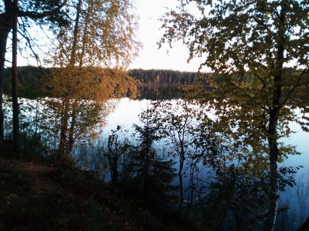 Купить земельный участок в Республике Карелия. Вариант № 20678, 4, площадь -  квм, цена 7500000 рублей